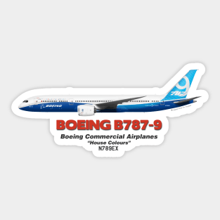 Boeing B787-9 - Boeing "House Colours" Sticker